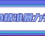 闲鱼精准暴力引流全系列课程，每天被动精准引流100+粉丝-最全资源库