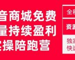 抖音商城搜索持续盈利陪跑成长营,抖音商城搜索从0-1、从1到10的全面解决方案-最全资源库