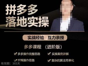 拼多多实战篇·落地实操：多多操作完整思路+实操案例讲解+拆解操作思路+复杂的算法简单化-最全资源库