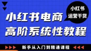 小红书电商高阶系统教程，新手从入门到精通系统课-最全资源库