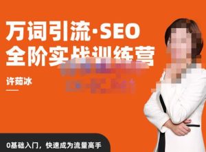 许茹冰·万词引流-SEO全阶实战训练营，0基础入门，快速成为流量高手-最全资源库