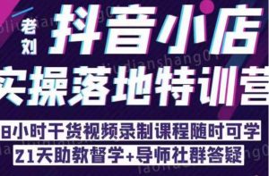 抖音小店实操落地特训营：抖音小店无货源精细化运营，抖店商品卡流量（22节）-最全资源库