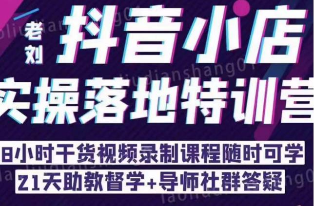 抖音小店实操落地特训营：抖音小店无货源精细化运营，抖店商品卡流量（22节）-最全资源库