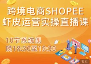 跨境电商Shopee虾皮运营实操直播课，从零开始学，入门到精通（10节系统课）-最全资源库