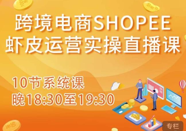跨境电商Shopee虾皮运营实操直播课,从零开始学,入门到精通(10节系统课)-最全资源库