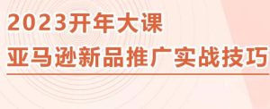2023亚马逊新品推广实战技巧，线下百万美金课程的精简版，简单粗暴可复制，实操性强的推广手段-最全资源库