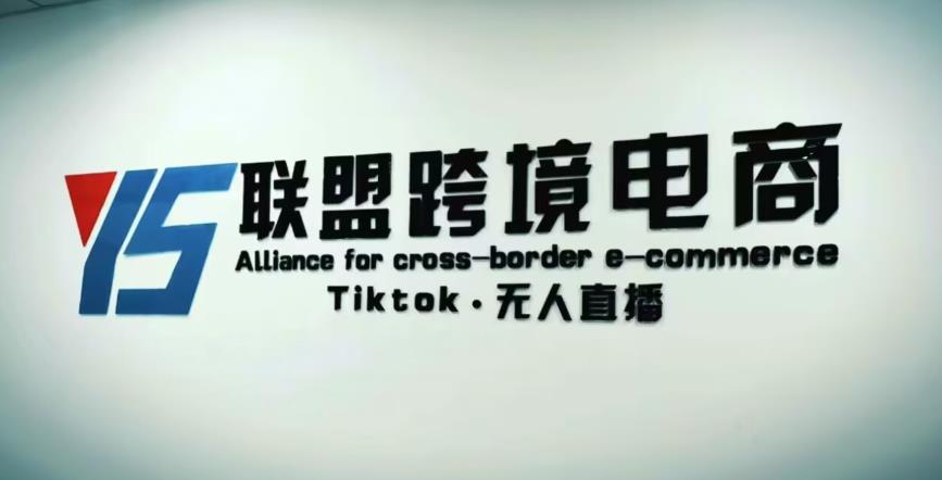 YS联盟·Tiktok无人直播,不出镜不剪辑不拍摄不发货无售后的跨境短视频躺赚玩法-最全资源库