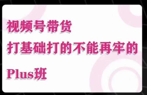 大播汇·视频号带货Puls班,视频号底层逻辑,起号自然流鱼塘等玩法-最全资源库