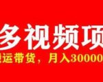 多多带货视频快速50爆款拿带货资格,搬运带货,月入30000【全套脚本+详细玩法】-最全资源库