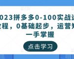 2023拼多多0-100实战运营教程，0基础起步，运营知识一手掌握-最全资源库