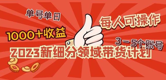 2023新细分领域带货计划:单号单日1000+收益不难,每人可操作3-5个账号-最全资源库