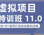 陆明明·虚拟项目特训班(10.0+11.0),0成本获取虚拟素材,0基础打造自动盈利店铺-最全资源库
