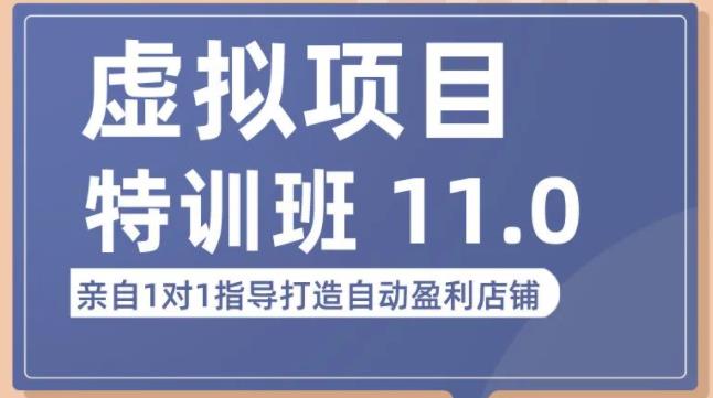 陆明明·虚拟项目特训班(10.0+11.0),0成本获取虚拟素材,0基础打造自动盈利店铺-最全资源库