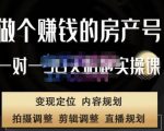 刘广标·同城房产号线上陪跑课，拍摄、剪辑、写文案、直播，做一个具有潜力价值的房产号-最全资源库