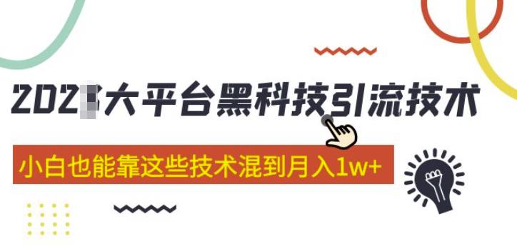 大平台黑科技引流技术,小白也能靠这些技术混到月入1w+(2022年的课程)-最全资源库