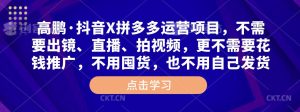 高鹏·抖音X拼多多运营项目，不需要出镜、直播、拍视频，不需要花钱推广，不用囤货，不用自己发货-最全资源库