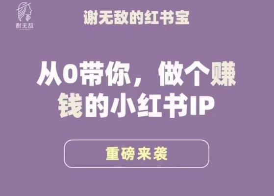 谢无敌·小红书运营大宝典,从0带你做个赚钱的小红书IP-最全资源库