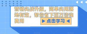 营销实战升级,简单实用落地有效,帮你省下百万咨询费用-最全资源库