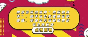 拼多多实战宝典“初级到高手”，新手小白必看拼多多课程，带你全方位解读拼多多各种玩法-最全资源库