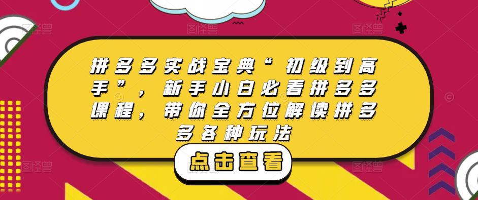 拼多多实战宝典“初级到高手”，新手小白必看拼多多课程，带你全方位解读拼多多各种玩法-最全资源库