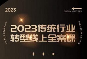 数据哥2023传统行业转型线上全案课，2023年传统行业如何转型线上，线上创业/传统转型避坑宝典-最全资源库