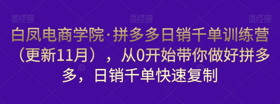 白凤电商学院·拼多多日销千单训练营,从0开始带你做好拼多多,日销千单快速复制(更新知2023年3月)-最全资源库