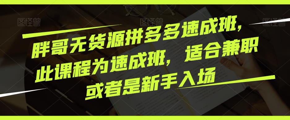 胖哥无货源拼多多速成班，此课程为速成班，适合兼职或者是新手入场-最全资源库