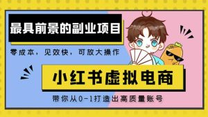 小红书蓝海大市场虚拟电商项目，手把手带你打造出日赚2000+高质量红薯账号-最全资源库