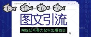 2023年价值1980的图文引流创业粉螺旋起好技术暴力起粉加爆微信-最全资源库