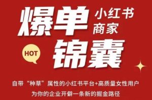 无畏·小红书商家爆单锦囊,掌握小红书各大规则,快速精准抢占行业和市场-最全资源库