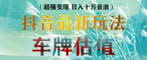 抖音最新无人直播变现直播车牌估值玩法项目,轻松日赚几百+【详细玩法教程】-最全资源库