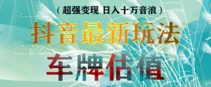 抖音最新无人直播变现直播车牌估值玩法项目，轻松日赚几百+【详细玩法教程】-最全资源库
