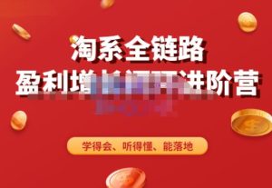 淘系全链路盈利增长闭环进阶营,融合全店动销,学得会、听得懂、能落地!-最全资源库