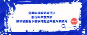 全网中视频另类玩法，都在闷声发大财，附带破解版下载软件加全网最大素材库-最全资源库