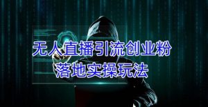 外面收费3980的无人直播引流创业粉落地实操玩法，单日引100+精准创业粉-最全资源库