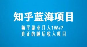 知乎蓝海玩法，躺平副业月入1W+，真正的睡后收入项目（6节视频课）-最全资源库