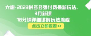 大炮·2023拼多多强付费最新玩法，3月新课​78分钟详细讲解玩法流程-最全资源库