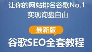 谷歌SEO实战教程：如何让你的网站在谷歌排名第一，内容从入门到高阶，适合个人及团队-最全资源库