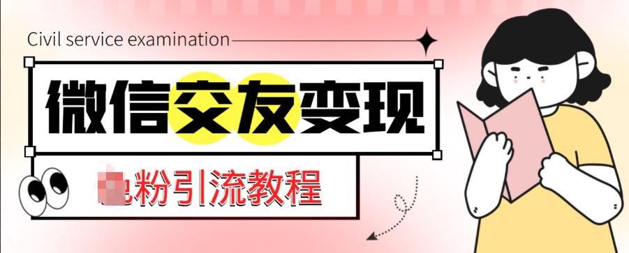 微信交友变现项目,吸引全网LSP男粉精准变现,小白也能轻松上手,日入500+-最全资源库