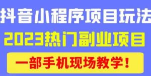 抖音小程序9.0新技巧,2023热门副业项目,动动手指轻松变现-最全资源库