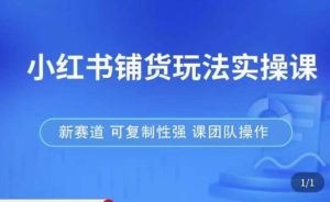 小红书铺货玩法实操课,流量大,竞争小,非常好做,新赛道,可复制性强,可团队操作-最全资源库