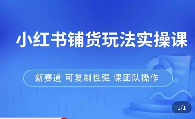 小红书铺货玩法实操课,流量大,竞争小,非常好做,新赛道,可复制性强,可团队操作-最全资源库