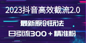 日引300＋创业粉，独家抖音高效截流2.0玩法（价值1280）-最全资源库