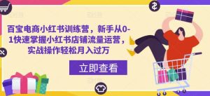 百宝电商小红书训练营,新手从0-1快速掌握小红书店铺流量运营,实战操作轻松月入过万-最全资源库