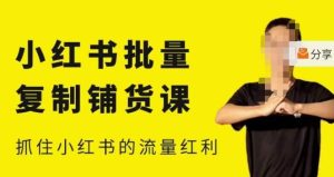张宾·小红书批量复制铺货课，小红书0-1快速起号变现玩法，抓住小红书的流量红利（更新2023年3月）-最全资源库