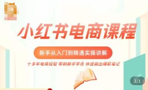 小红书电商新手入门到精通实操课，从入门到精通做爆款笔记，开店运营-最全资源库