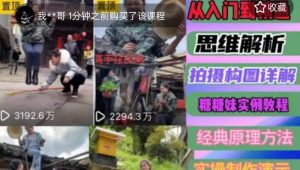 东方糖糖妹抖音短视频全套实战课思维+拍摄+剪辑+运营，从入门到精通-最全资源库