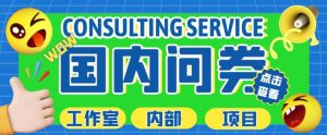 最新工作室内部国内问卷调查项目,单号轻松日入30+多号多撸【详细玩法教程】-最全资源库