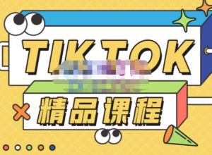 电商孵化中心·TikTok精品课程,教你玩转海外抖音,低成本创业,带您从0开始玩转TikTok-最全资源库