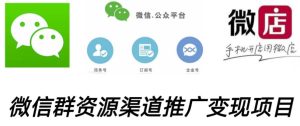 微信群码资源渠道内循环推广变现项目，多种变现方式，打通你的管道收益-最全资源库